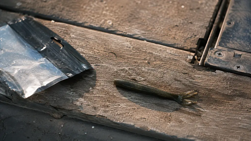 A single soft plastic worm with a chewed tail resting on a weathered wooden boat deck beside a spent bait pack in late afternoon light